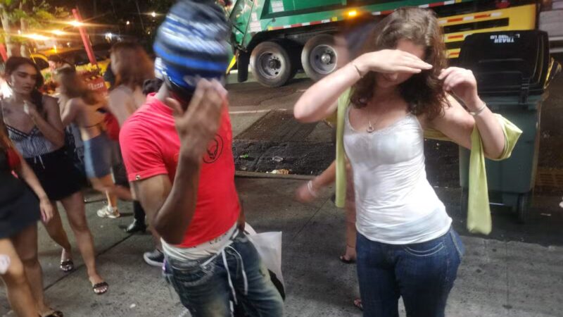 Tompkins Square Dog Run - New York, NY