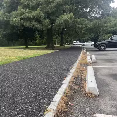 Essex County Branch Brook Park Dog Park - Newark, NJ