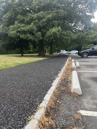 Essex County Branch Brook Park Dog Park - Newark, NJ