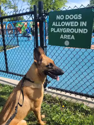 Ivy Hill Park - Newark, NJ