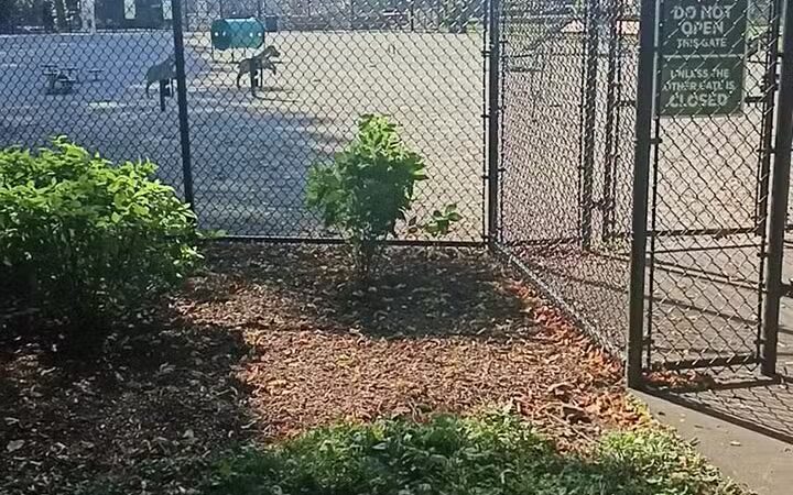 Vailsburg Park - Newark, NJ