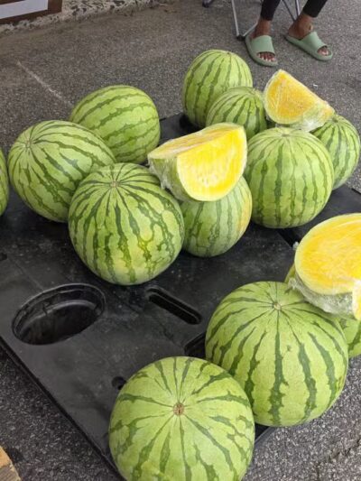 Vailsburg Park - Newark, NJ