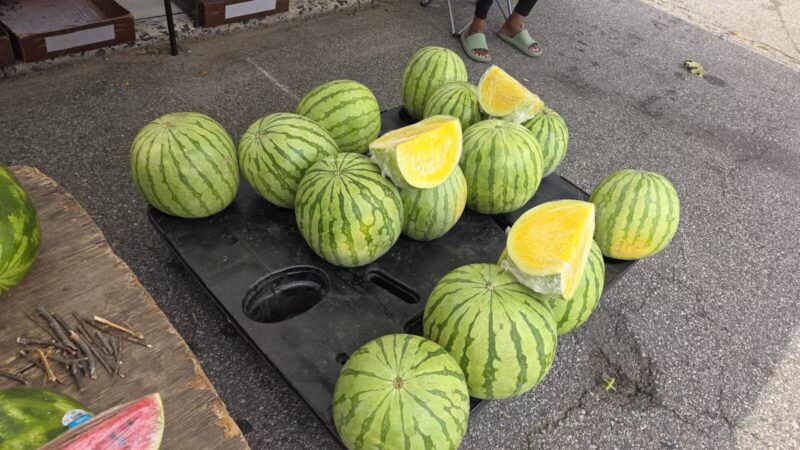 Vailsburg Park - Newark, NJ