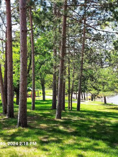 Consumers Beach and Park - Newaygo,