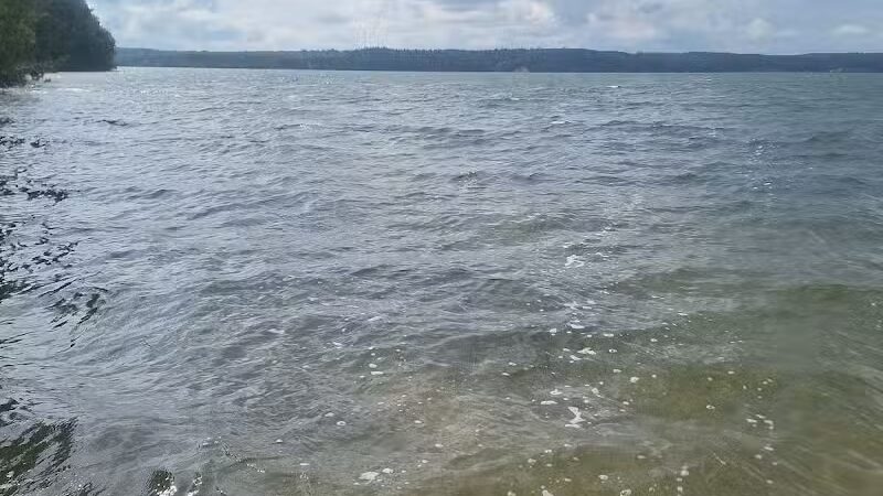 Consumers Beach and Park - Newaygo,