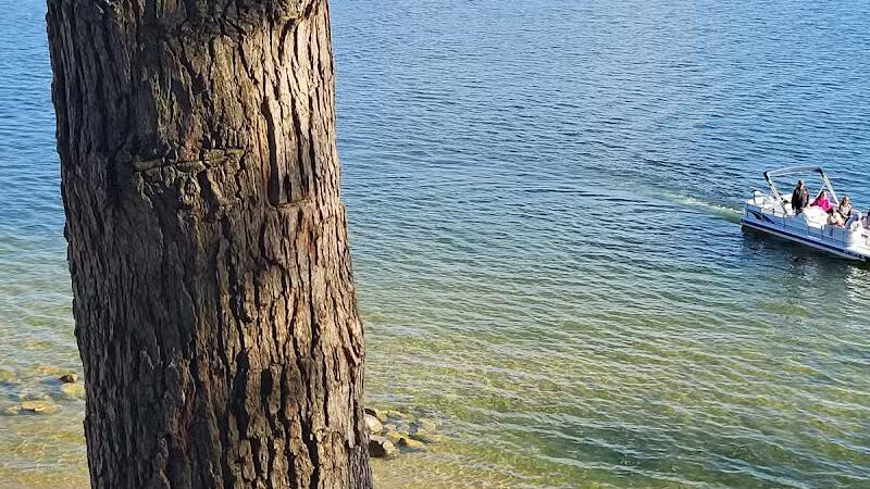 Consumers Beach and Park - Newaygo,