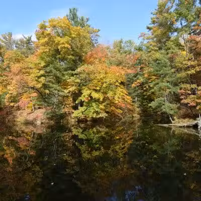 Hardy Dam Trailhead - The Dragon - Newaygo,