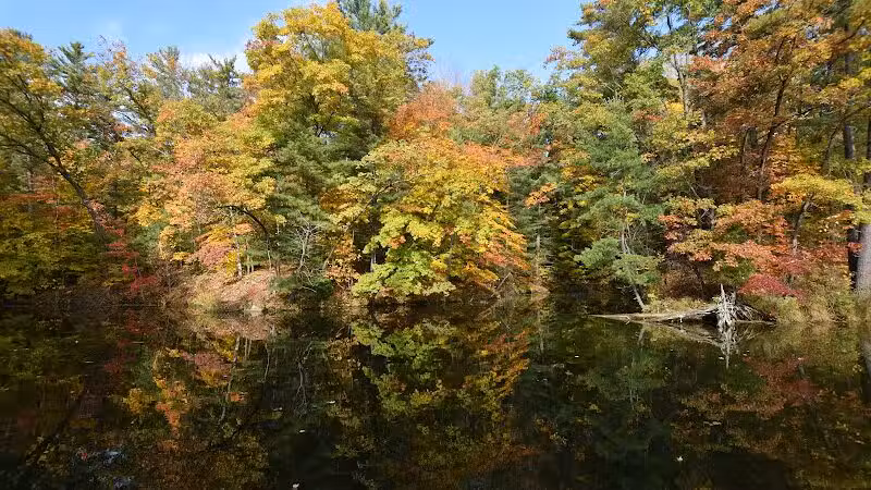 Hardy Dam Trailhead - The Dragon - Newaygo,