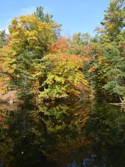 Hardy Dam Trailhead - The Dragon - Newaygo,
