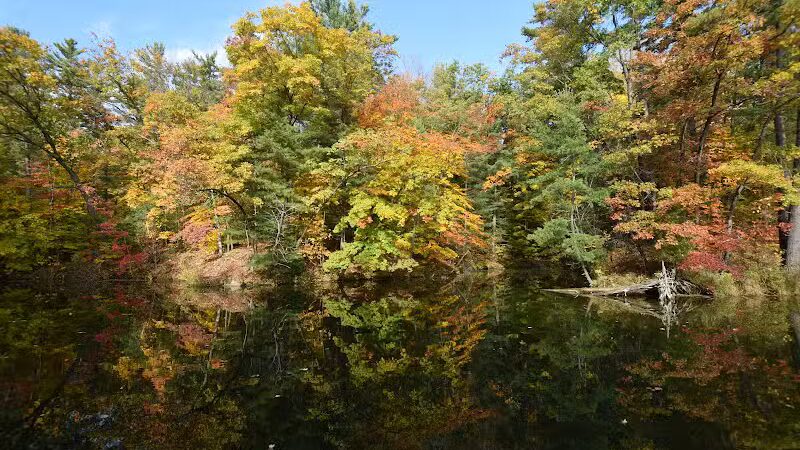 Hardy Dam Trailhead - The Dragon - Newaygo,