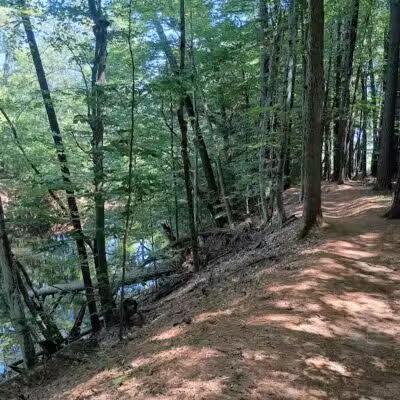 Hardy Dam Trailhead - The Dragon - Newaygo,