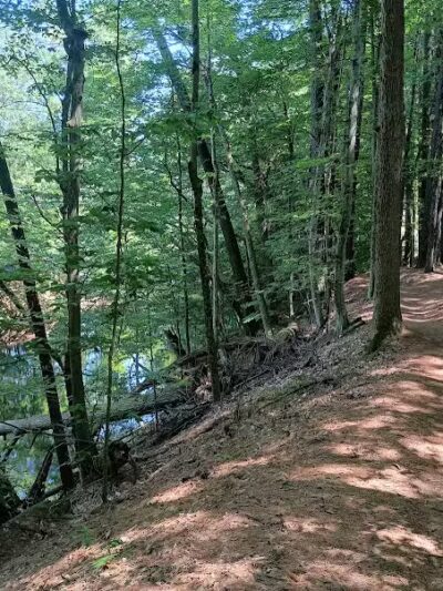 Hardy Dam Trailhead - The Dragon - Newaygo,