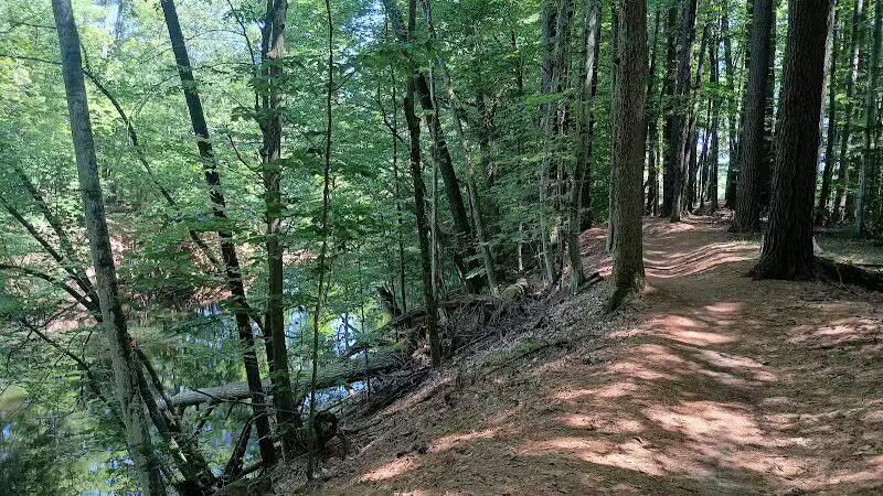 Hardy Dam Trailhead - The Dragon - Newaygo,