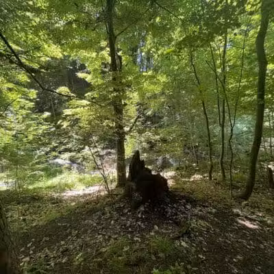 Marshall Memorial Park - Newaygo,