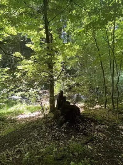 Marshall Memorial Park - Newaygo,