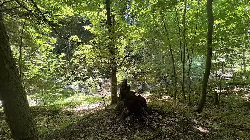 Marshall Memorial Park - Newaygo,