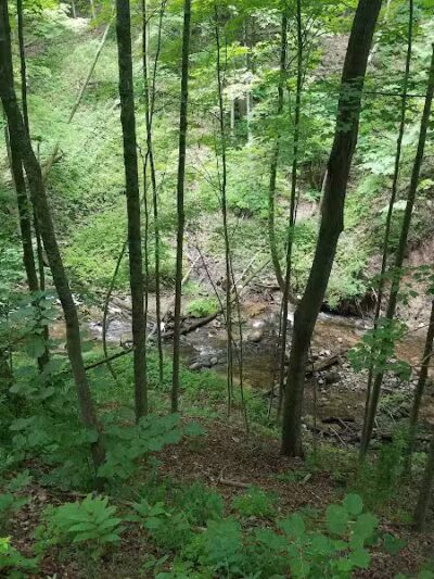 Marshall Memorial Park - Newaygo,