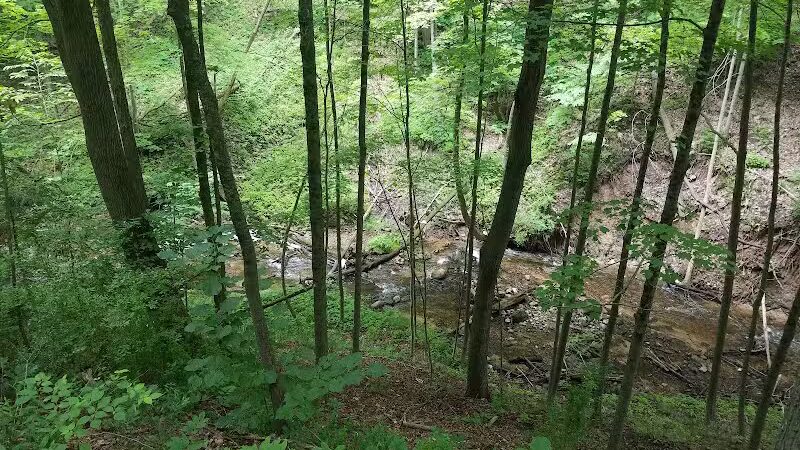 Marshall Memorial Park - Newaygo,