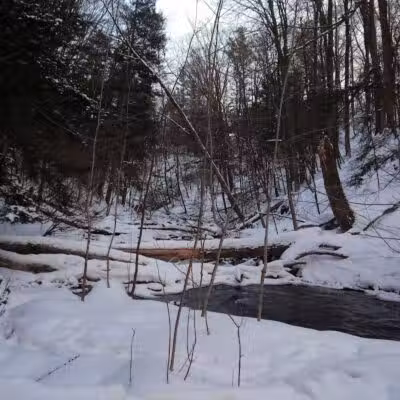 Marshall Memorial Park - Newaygo,