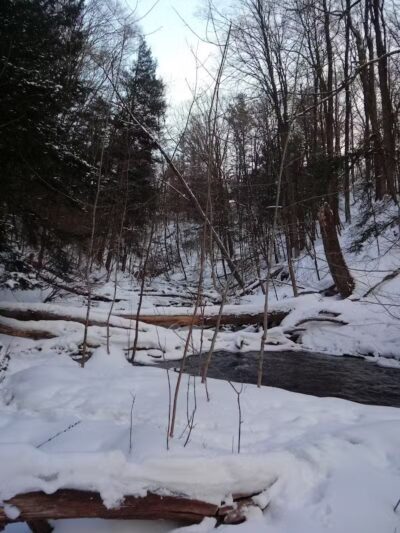 Marshall Memorial Park - Newaygo,