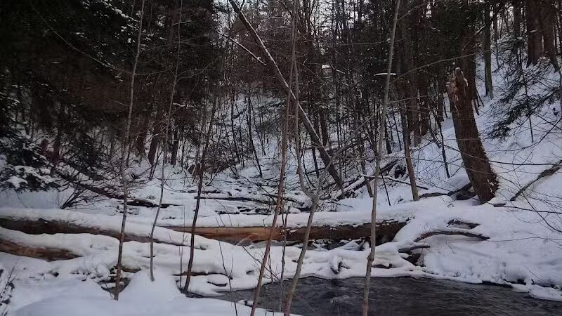 Marshall Memorial Park - Newaygo,