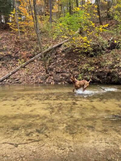 Marshall Memorial Park - Newaygo,