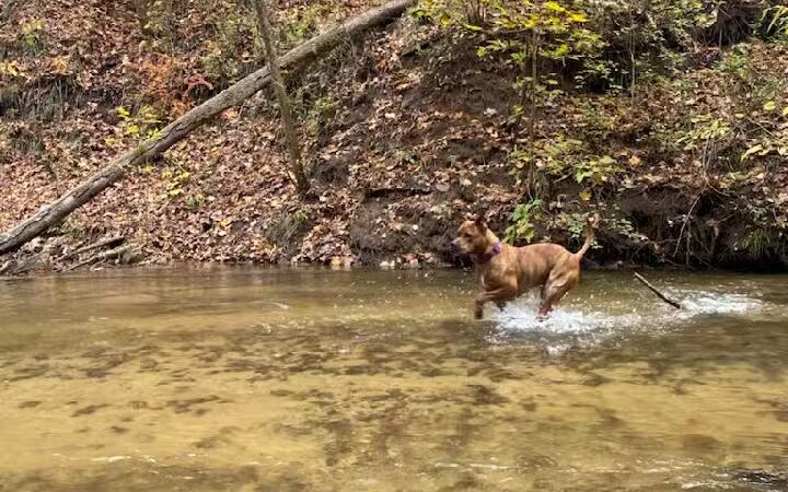 Marshall Memorial Park - Newaygo,