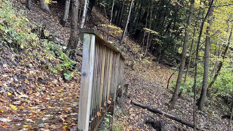 Marshall Memorial Park - Newaygo,