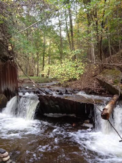 Marshall Memorial Park - Newaygo,