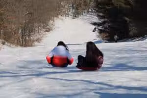 Newaygo County Sports Park - Newaygo,