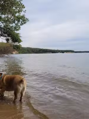 Sandy Beach Trailhead - The Dragon - Newaygo,