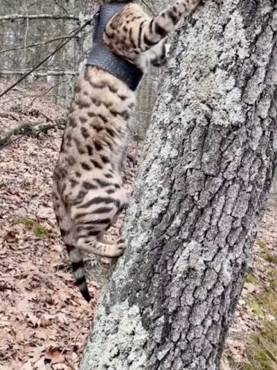 Newaygo County Sports Park - Newaygo,