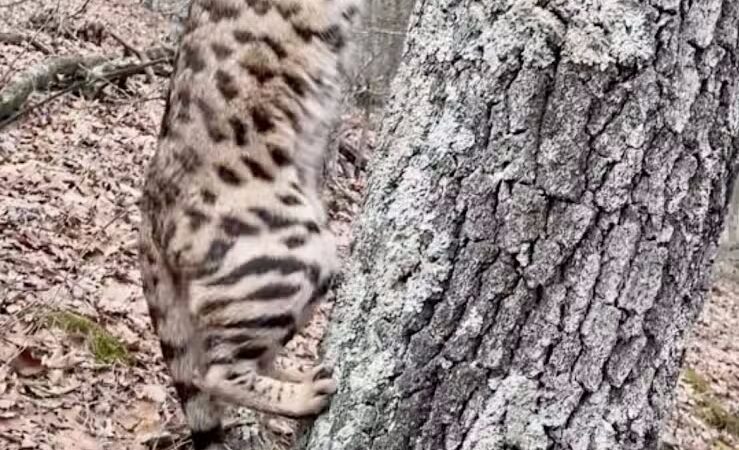 Newaygo County Sports Park - Newaygo,