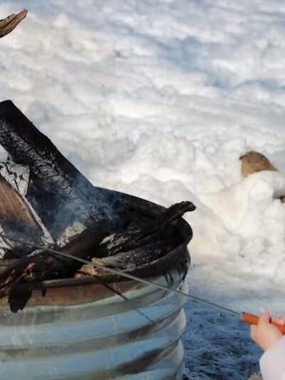 Newaygo County Sports Park - Newaygo,