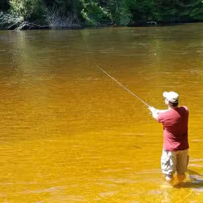 Newaygo River Front Park - Newaygo,
