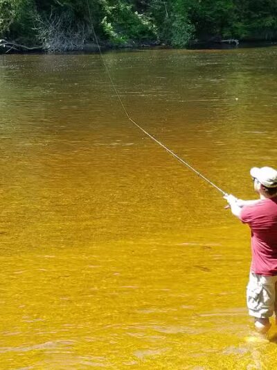 Newaygo River Front Park - Newaygo,