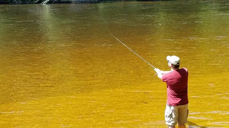 Newaygo River Front Park - Newaygo,