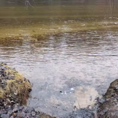 Newaygo River Front Park - Newaygo,