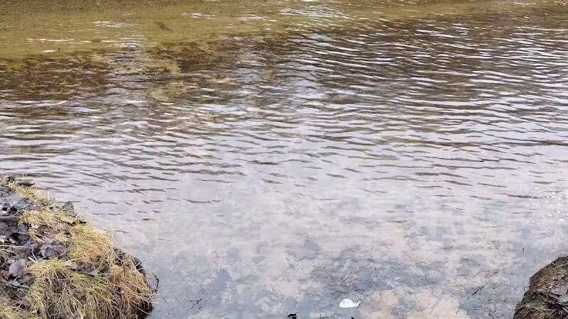 Newaygo River Front Park - Newaygo,
