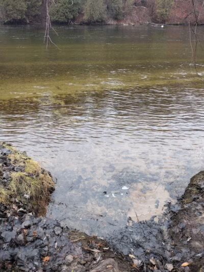 Newaygo River Front Park - Newaygo,