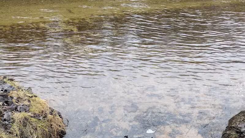 Newaygo River Front Park - Newaygo,