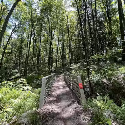 Sandy Beach Trailhead - The Dragon - Newaygo,