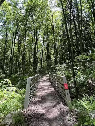 Sandy Beach Trailhead - The Dragon - Newaygo,