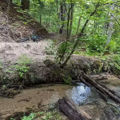 Sandy Beach Trailhead - The Dragon - Newaygo,