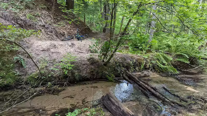 Sandy Beach Trailhead - The Dragon - Newaygo,