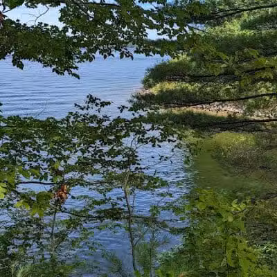 Sandy Beach Trailhead - The Dragon - Newaygo,