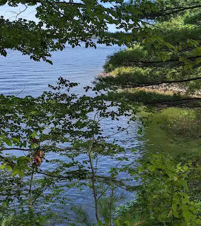 Sandy Beach Trailhead - The Dragon - Newaygo,