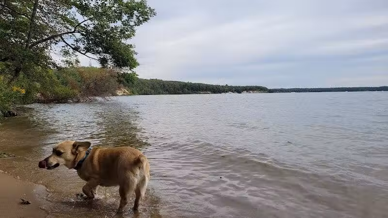 Sandy Beach Trailhead - The Dragon - Newaygo,