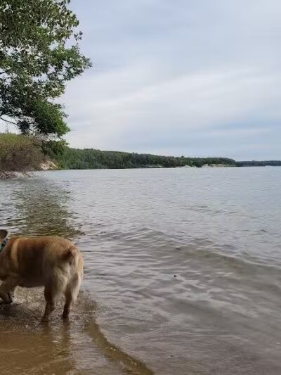 Sandy Beach Trailhead - The Dragon - Newaygo,