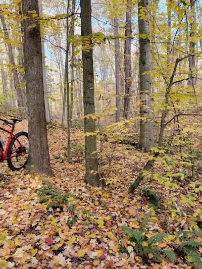 Sandy Beach Trailhead - The Dragon - Newaygo,